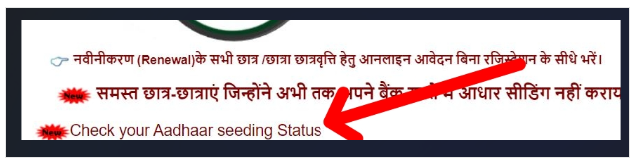 Check your Aadhaar seeding Status.png